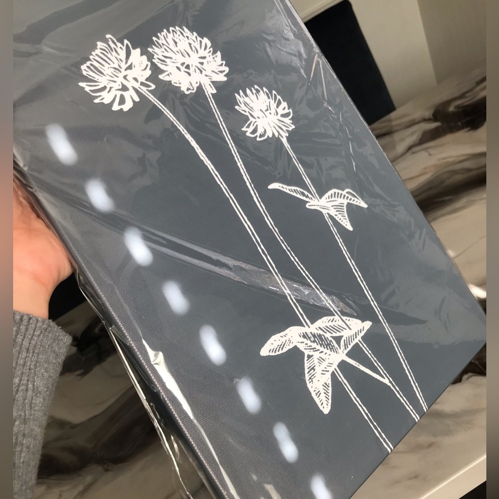 Dandelion picture